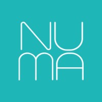 The Numa Network Logo