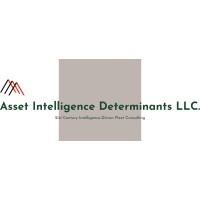 Asset Intelligence Determinants LLC. Logo