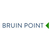 Bruin Point Partners Logo