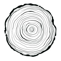 Boxwood Digital Marketing Logo