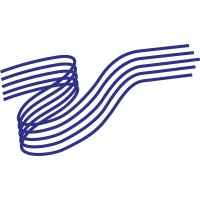 Transform Management Consulting LLC Logo