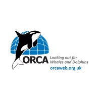 ORCA (Organisation Cetacea) Logo