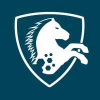 ABILITY | Digital Accessibility Co. Logo