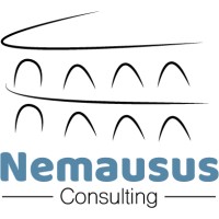 NEMAUSUS Consulting Logo