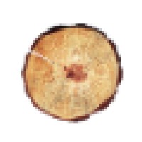 STILBEELD UITVAARTFOTOGRAFIE Logo