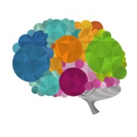 SinerjiBT Bilgi Teknolojileri A.Ş. Logo