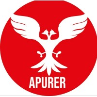 Apurer India Private Limited Logo