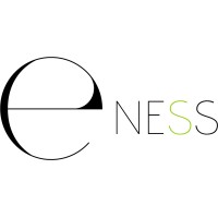 E-Ness Web Agency Logo
