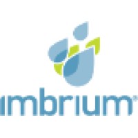 Imbrium Systems Logo