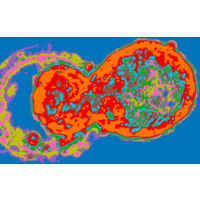 IVF20.ai Logo