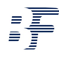 Borg Financial Logo