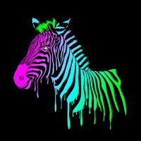 Acid Zebra Logo