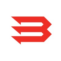 Brand Wolfe Logo