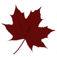 Redleaf Consulting Group Logo