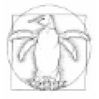 Complex IT sarl Logo