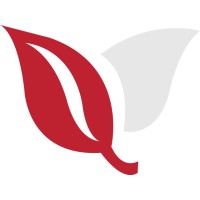 Redtree Consult Logo