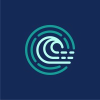 Rogue Wave Toys Logo
