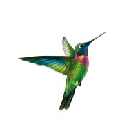 San Vicente Fundación Logo