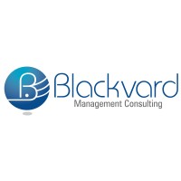 BVM, LLC Logo