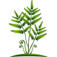 Fern Valley Natural Health Logo