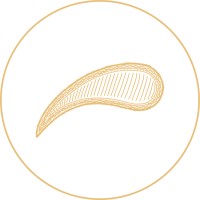 PSLY Logo