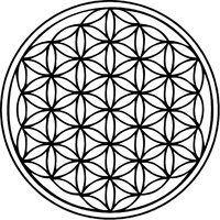 Thank You Universe Inc Logo