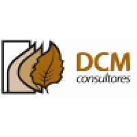 DCM CONSULTORES Logo