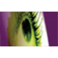 Visions In Light Productions Logo