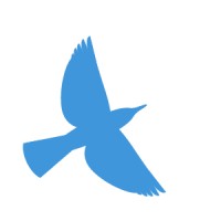 Paxion Logo