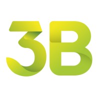 3B - BUSINESS BRIDGE BRAZIL Logo