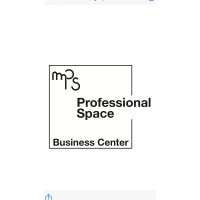 Professional Space Logo