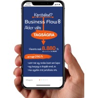 Business Flow Klub - Vállalkozás fejlesztés cégvezetőknek Logo