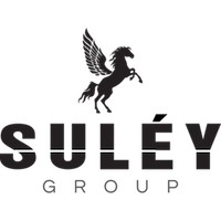 SULEY GROUP Logo