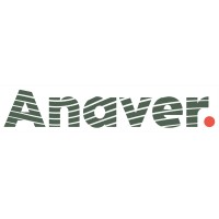 Anaver; ANAlyse en VERandering Logo