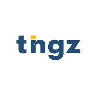 Tingz Logo