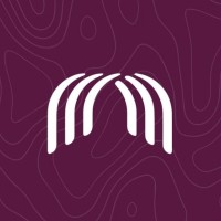 Linq Consulting Solutions Logo