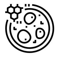 Polymaths-AI Logo