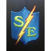 SENECA ELECTRIC llC Logo
