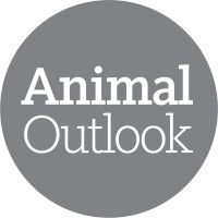Animal Outlook Logo