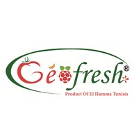 GEOFRESH ESSAFA SA Logo
