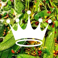 The Kingsley Company Logo