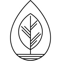 Seedling Digital Logo
