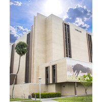 University of South Florida Libraries - Tampa campus Logo