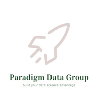 Paradigm Data Group Logo