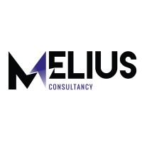 Melius Consultancy Logo