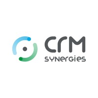 CRM Synergies Corp Logo
