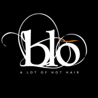 Blo Logo