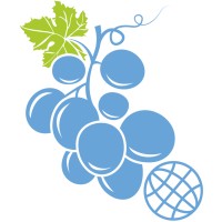 Spherical Grape Inc. Logo
