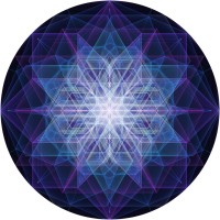 DIGITAL MANDALA Logo