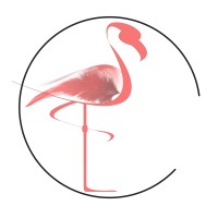 Flamingo Marketing Strategies Ltd Logo